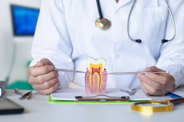 Best Emergency Root Canal Treatment in Mount Carmel, IL